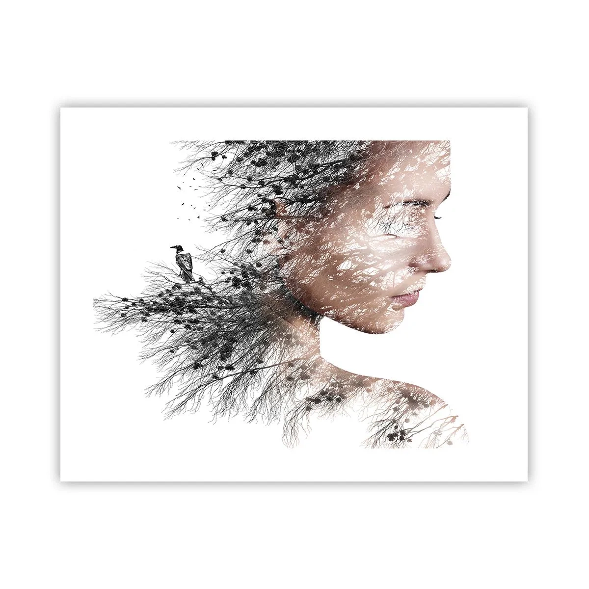 Affiche - Poster - L'âme de la forêt - 50x40 cm
