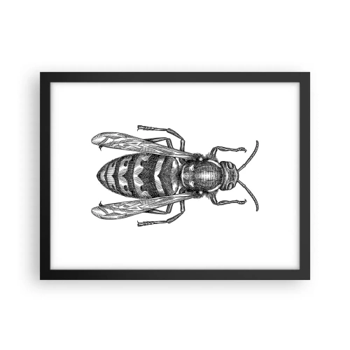 Affiche dans un cadre noir - Poster - D'une planète d'insectes - 40x30 cm