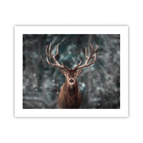 Affiche - Poster - Roi de la forêt couronné - 50x40 cm