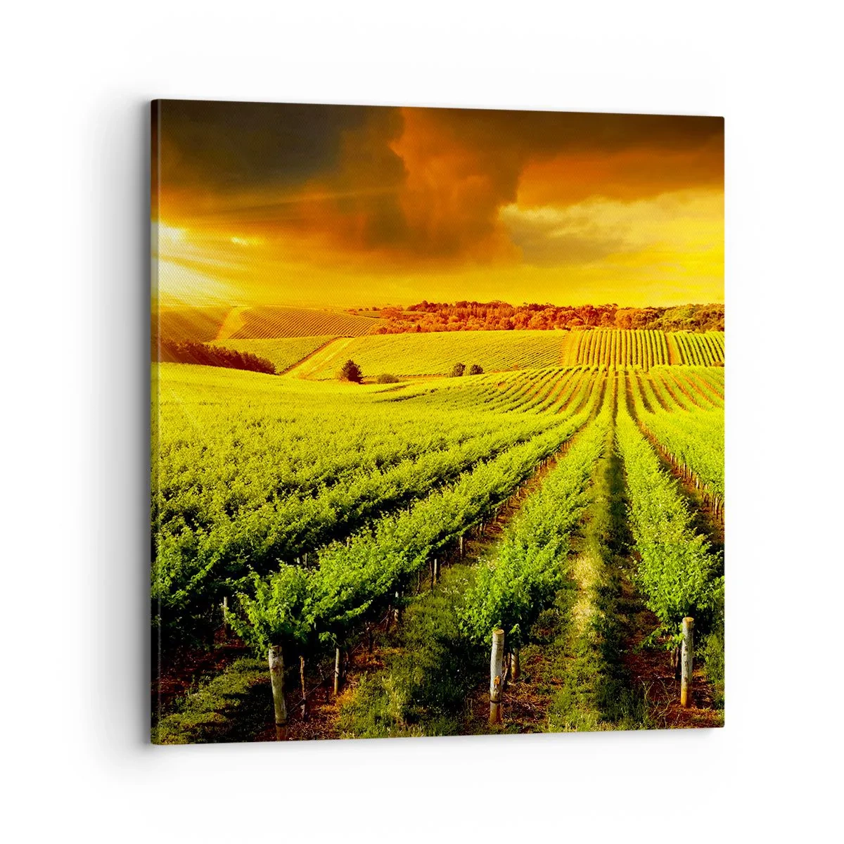Impression sur toile - Image sur toile - Sous le soleil australien - 70x70 cm