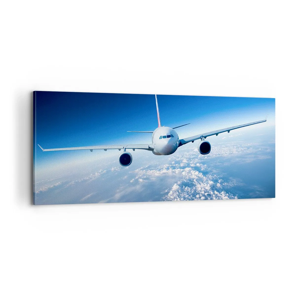 Impression sur toile - Image sur toile - Je vole parce que je le veux - 100x40 cm