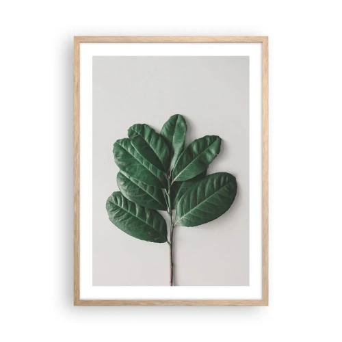 Affiche dans un chêne clair - Poster - Dessin de la nature elle-même - 50x70 cm