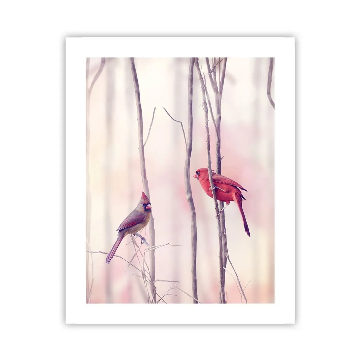 Affiche - Poster - Conte de la forêt rose - 40x50 cm