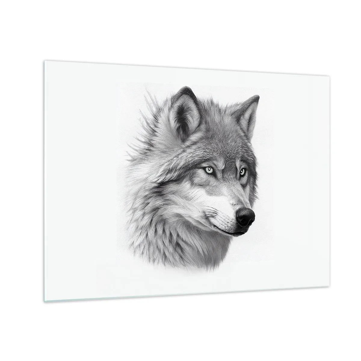Impression sur verre - Image sur verre - Portrait noir et blanc d'un loup au regard perçant - 70x50cm - Alpha – sans aucun doute - Décoration murale moderne pour le salon et la chambre ARTTOR