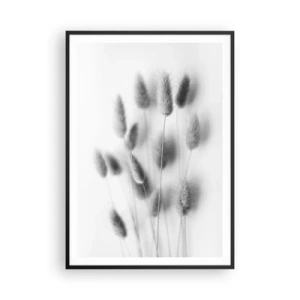 Affiche dans un cadre noir - Poster - Son herbe duveteuse - 70x100 cm