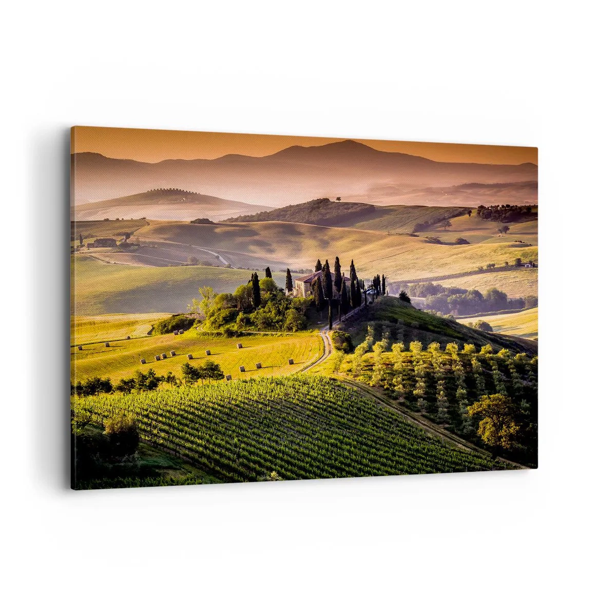 Impression sur toile - Image sur toile - Paysage toscan avec des vignes et une maison sur une colline - 100x70cm - Arcadie - le paysage toscan - Décoration murale moderne pour le salon et la chambre ARTTOR