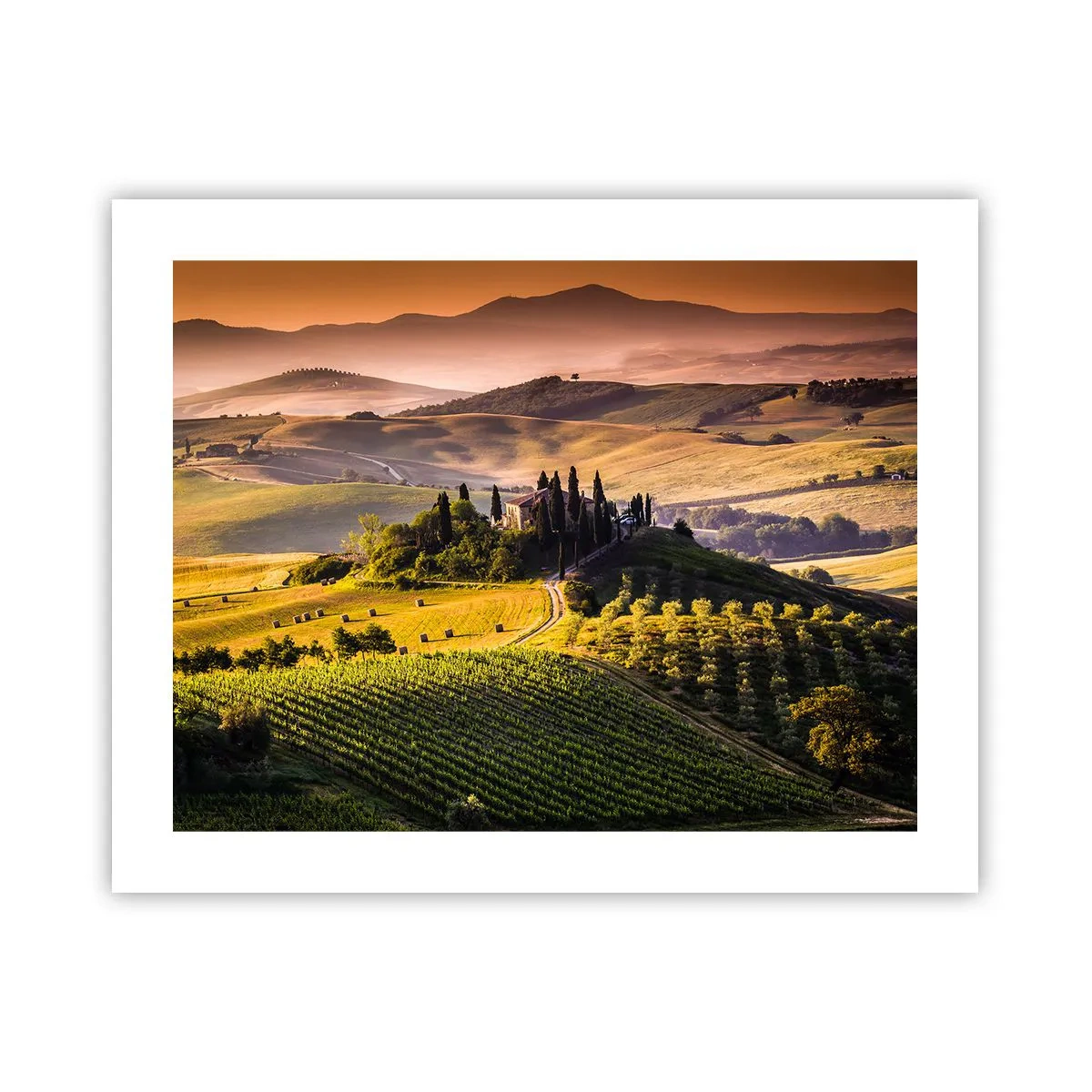 Affiche - Poster - Arcadie - le paysage toscan - 50x40 cm
