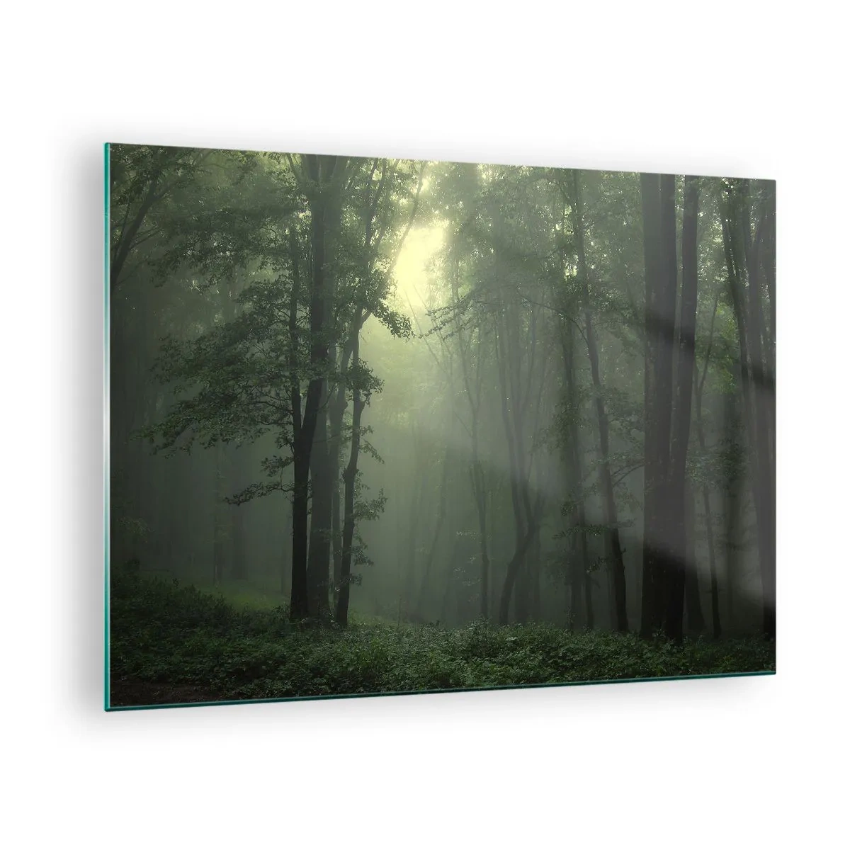 Impression sur verre - Image sur verre - Une forêt sombre enveloppée de brouillard avec des rayons de lumière - 70x50cm - Avant qu'il ne se réveille - Décoration murale moderne pour le salon et la chambre ARTTOR