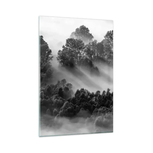 Impression sur verre - Image sur verre - Paysage forestier noir et blanc dans le brouillard du matin - 80x120cm - Sortir de son sommeil - Décoration murale moderne pour le salon et la chambre ARTTOR