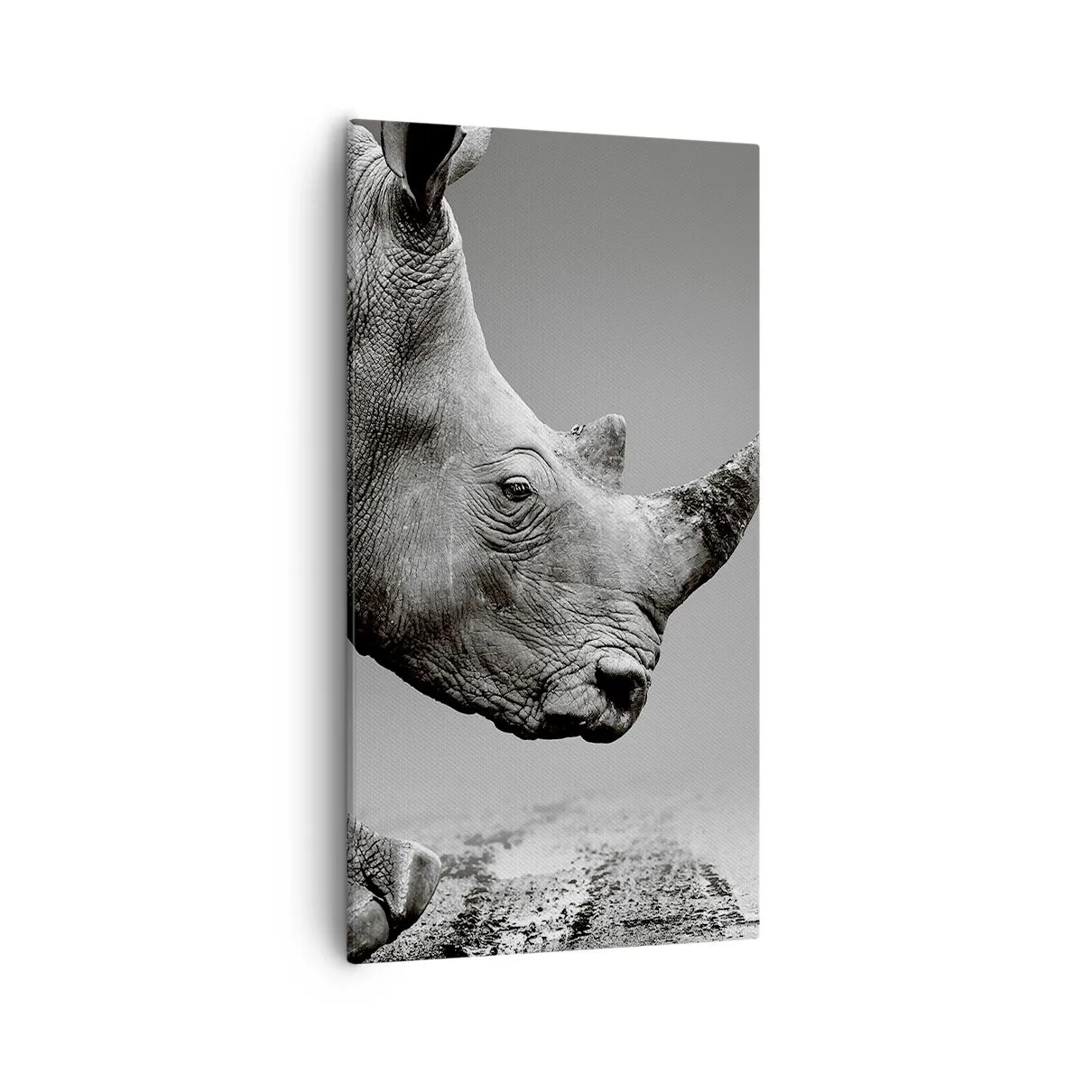 Impression sur toile - Image sur toile - Force inarrêtable - 55x100 cm