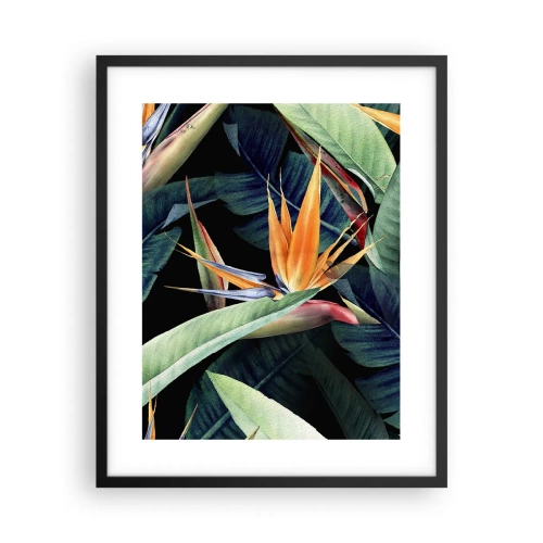Affiche dans un cadre noir - Poster - Fleurs flamboyantes des tropiques - 40x50 cm