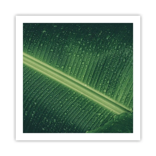 Affiche - Poster - Structure de vert - 60x60 cm