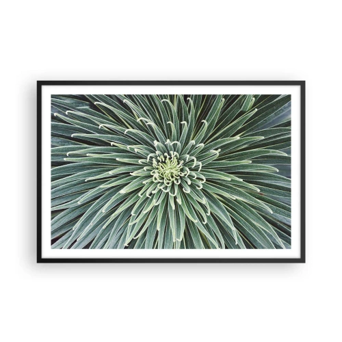 Affiche dans un cadre noir - Poster - Naissance d'une étoile - 91x61 cm