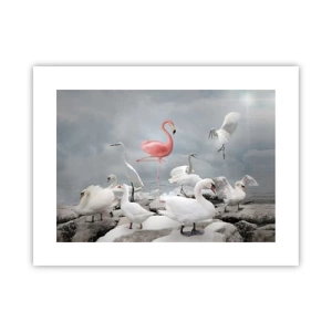 Affiche - Poster - Comment suis-je arrivé là? - 40x30 cm