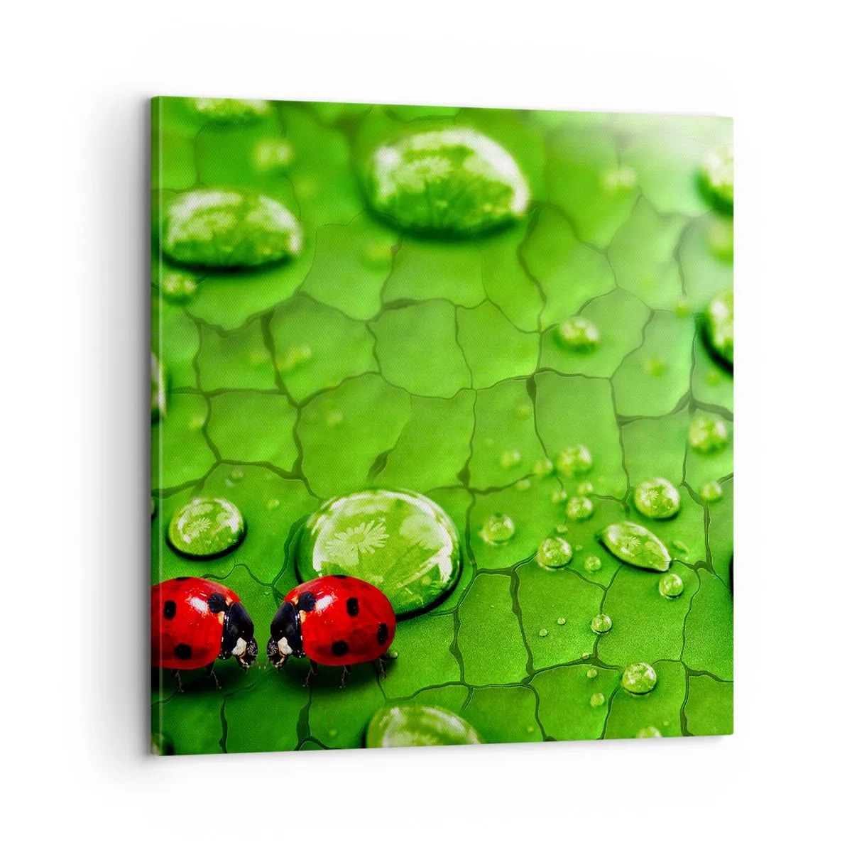Impression sur toile - Image sur toile - Rendez-vous au vert - 60x60 cm