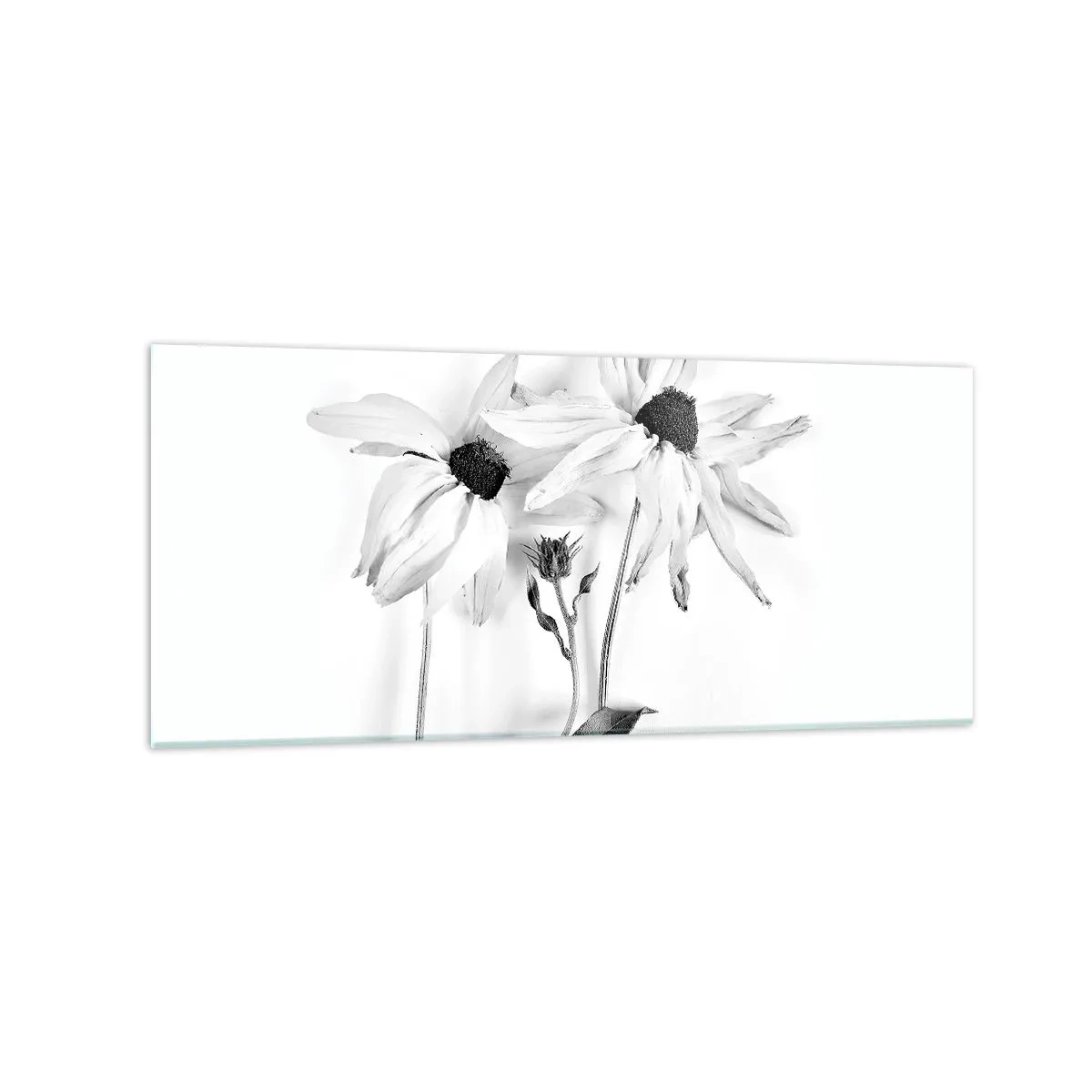 Impression sur verre - Image sur verre - Fleurs noires et blanches avec une composition subtile - 120x50cm - Personne ne souhaite être seul - Décoration murale moderne pour le salon et la chambre ARTTOR