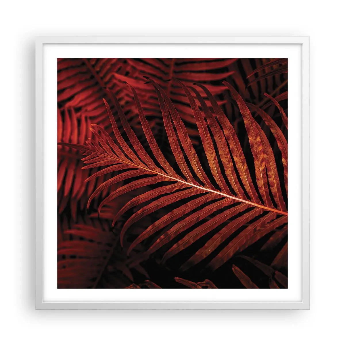 Affiche dans un cadre blanc - Poster - Chaleur de la vie - 60x60 cm