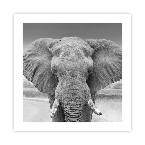 Affiche - Poster - Bienvenue dans mon monde - 50x50 cm