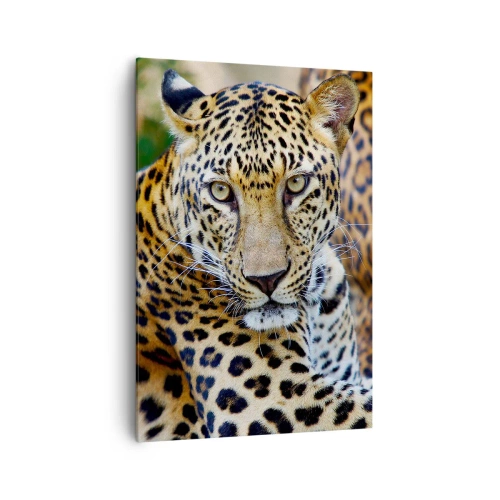 Impression sur toile - Image sur toile - Jaguar au repos dans un environnement naturel avec un fond vert. - 70x100cm - Sauvage et calme - Décoration murale moderne pour le salon et la chambre ARTTOR