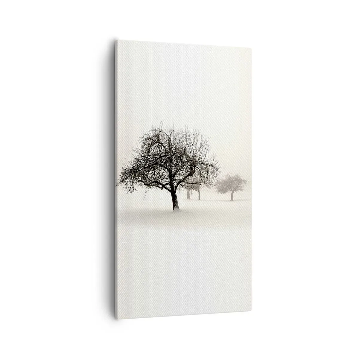 Impression sur toile - Image sur toile - Un rêve hivernal - 55x100 cm