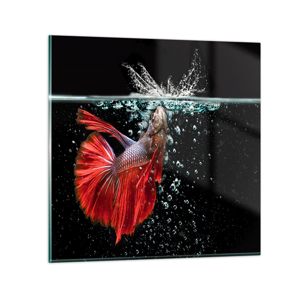 Impression sur verre - Image sur verre - Vous avez trois vœux - 50x50 cm