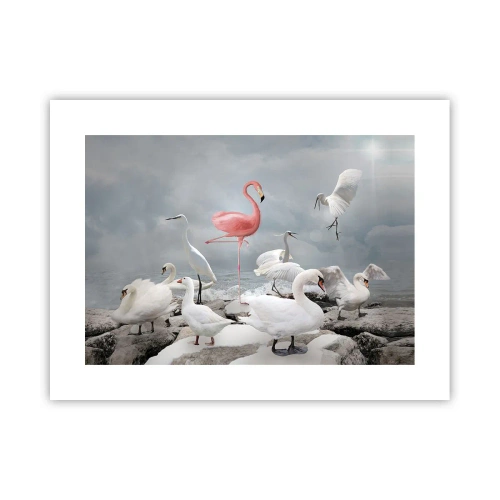 Affiche - Poster - Comment suis-je arrivé là? - 40x30 cm