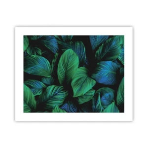 Affiche - Poster - Dans la foule verte - 50x40 cm