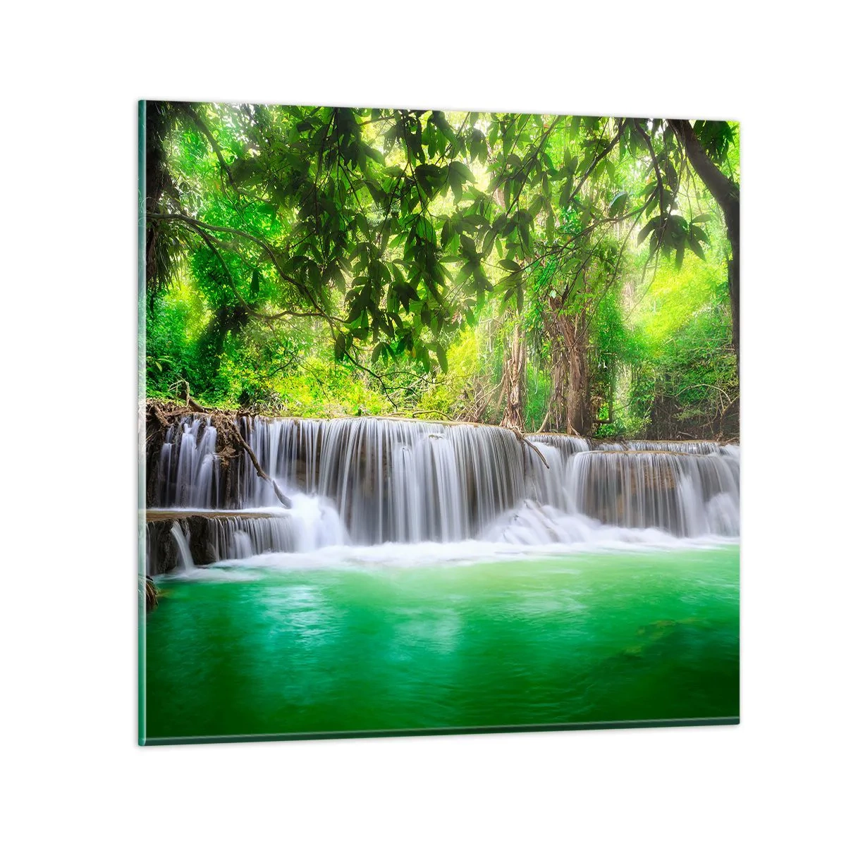 Impression sur verre - Image sur verre - Une cascade de vert - 60x60 cm