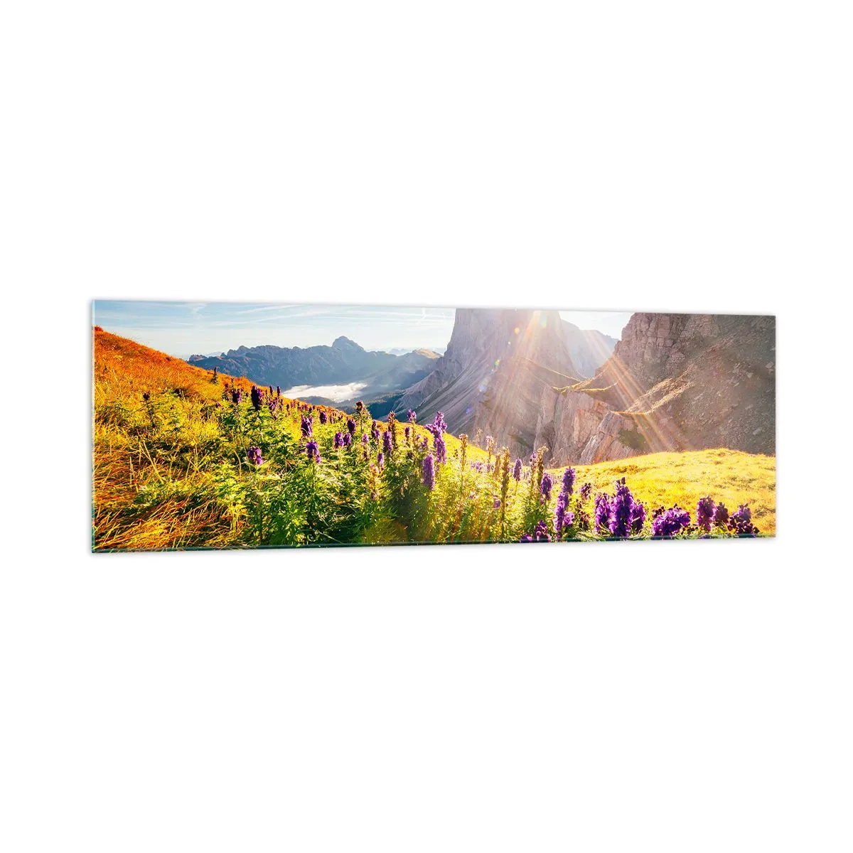 Impression sur verre - Image sur verre - Paysage de montagne avec des fleurs à la lumière du soleil levant - 160x50cm - La vie secrète des herbes - Décoration murale moderne pour le salon et la chambre ARTTOR