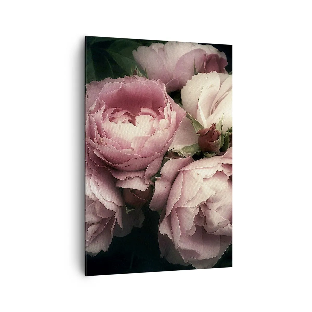 Impression sur toile - Image sur toile - Un bouquet de roses aux tons délicats de rose et de blanc - 70x100cm - Le charme de la belle époque - Décoration murale moderne pour le salon et la chambre ARTTOR
