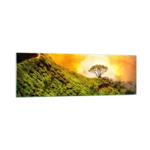 Impression sur verre - Image sur verre - Collines verdoyantes de plantations de thé au coucher du soleil - 160x50cm - Un chemin sinueux, une pente verte - Décoration murale moderne pour le salon et la chambre ARTTOR