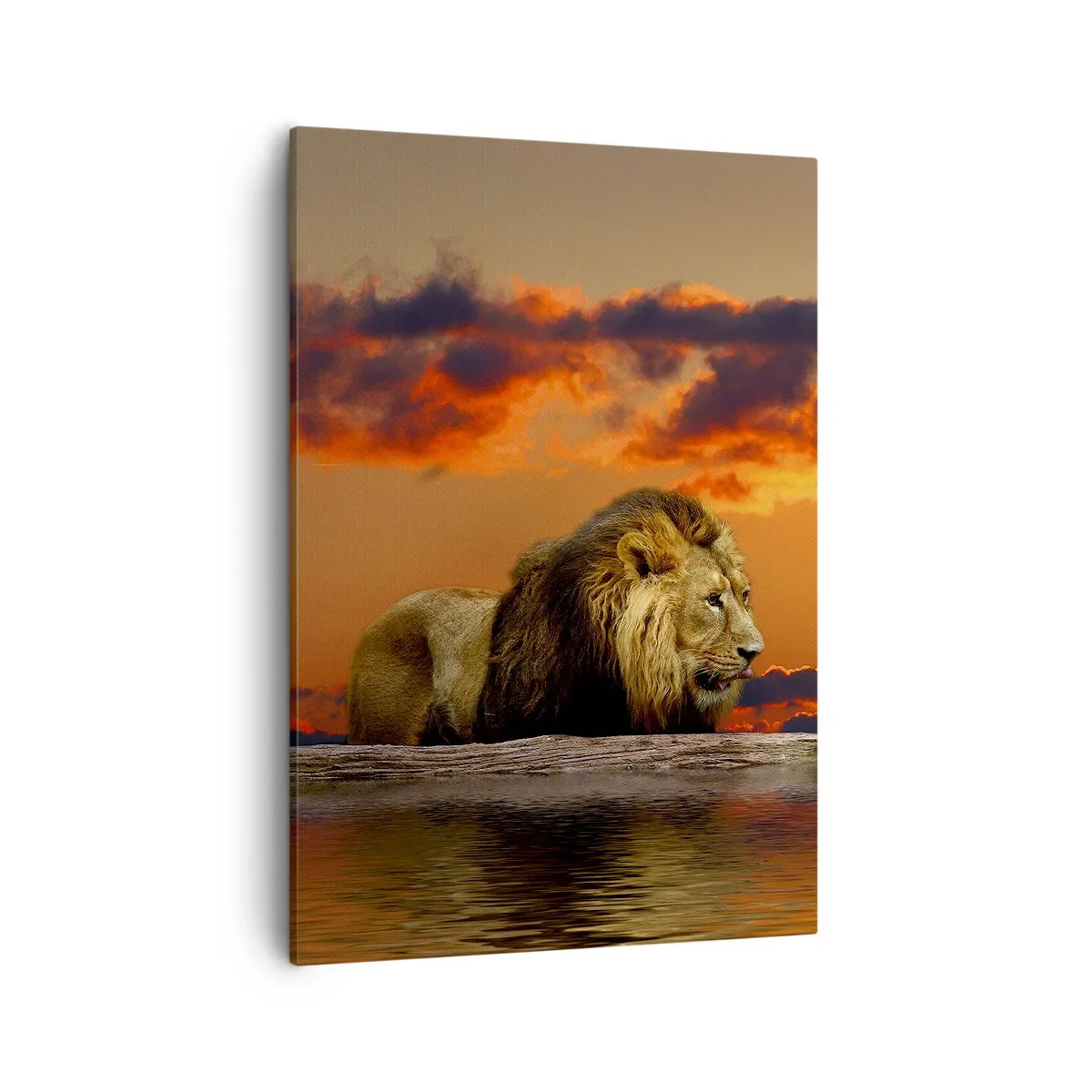Impression sur toile - Image sur toile - Un lion se repose au bord de l'eau au coucher du soleil avec un ciel dramatique. - 50x70cm - Le roi de la nature - Décoration murale moderne pour le salon et la chambre ARTTOR