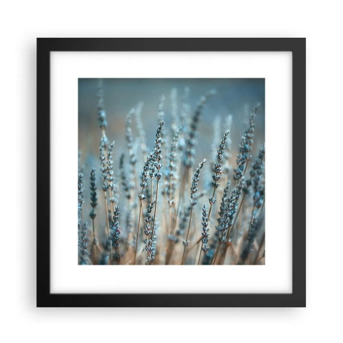 Affiche dans un cadre noir - Poster - Tige odorante - 30x30 cm
