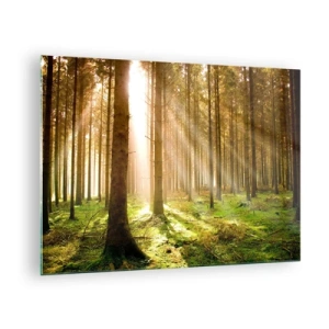 Impression sur verre - Image sur verre - Les rayons du soleil pénètrent à travers les arbres de la forêt - 70x50cm - Les elfes vont bientôt apparaître - Décoration murale moderne pour le salon et la chambre ARTTOR