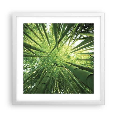 Affiche dans un cadre blanc - Poster - Dans une bambouseraie - 40x40 cm