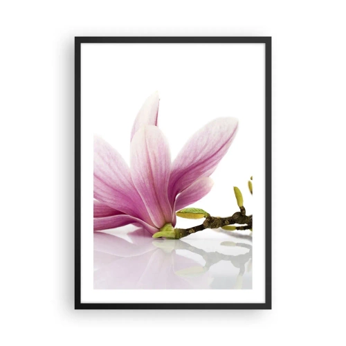 Affiche dans un cadre noir - Poster - Fleur de magnolia rose sur une branche avec un fond blanc - 50x70cm - Délicat comme une brise de printemps - Décoration murale moderne pour le salon et la chambre ARTTOR