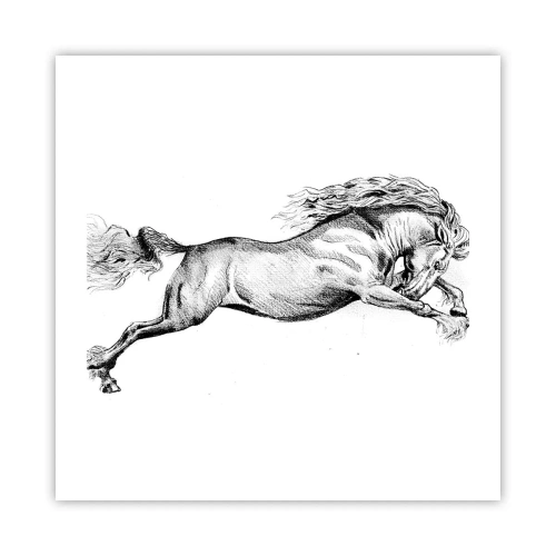 Affiche - Poster - Immortalisé au galop - 50x50 cm