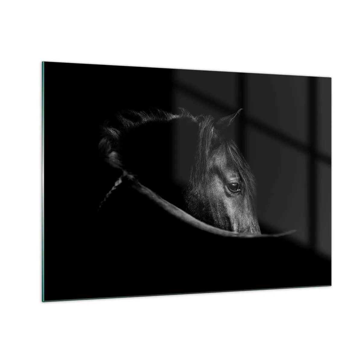 Impression sur verre - Image sur verre - Profil d'un cheval noir dans l'ombre avec un œil visible - 100x70cm - Prince Noir - Décoration murale moderne pour le salon et la chambre ARTTOR