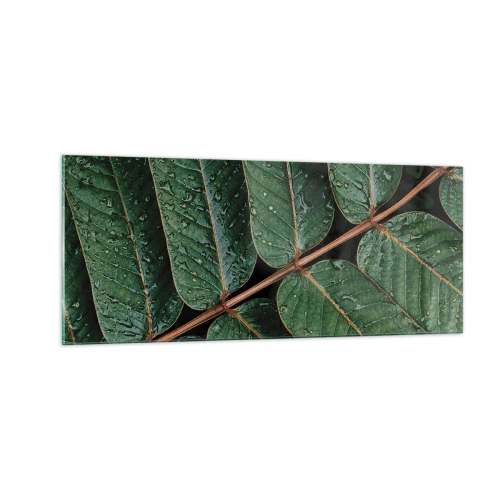 Impression sur verre - Image sur verre - Au rythme de la verdure - 100x40 cm