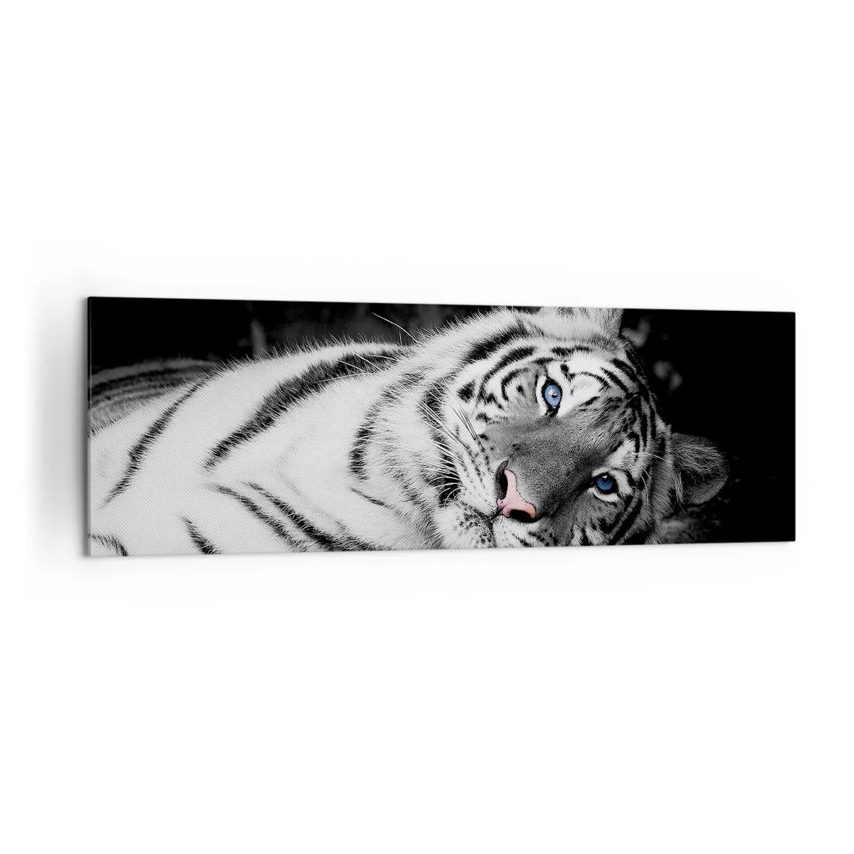 Impression sur toile - Image sur toile - Un tigre blanc rendu artistiquement sur un fond noir - 160x50cm - Sauvagerie et paix - Décoration murale moderne pour le salon et la chambre ARTTOR
