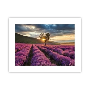 Affiche - Poster - Arôme de couleur lilas - 40x30 cm