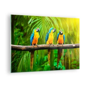 Impression sur verre - Image sur verre - Trois perroquets aras sur une branche dans une forêt tropicale - 70x50cm - Et avez-vous entendu qu'elle ...? - Décoration murale moderne pour le salon et la chambre ARTTOR