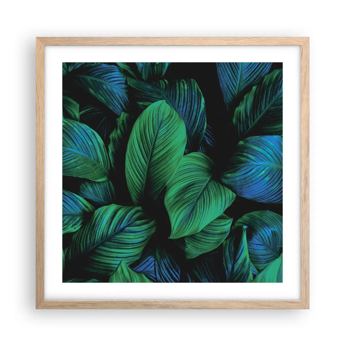 Affiche dans un chêne clair - Poster - Dans la foule verte - 50x50 cm