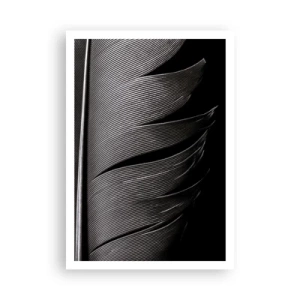 Affiche - Poster - La plume – un design magnifique - 70x100 cm