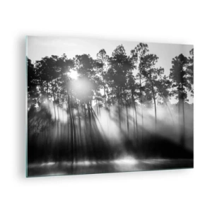 Impression sur verre - Image sur verre - Arbres noirs et blancs dans une forêt avec des rayons de soleil dans la brume - 70x50cm - Soleil inarrêtable - Décoration murale moderne pour le salon et la chambre ARTTOR