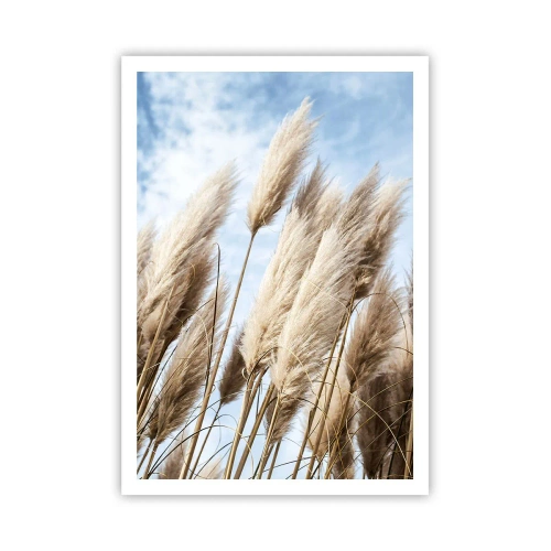 Affiche - Poster - Caresse ensoleillée et venteuse - 70x100 cm