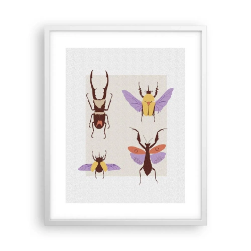 Affiche dans un cadre blanc - Poster - Le monde des insectes - 40x50 cm