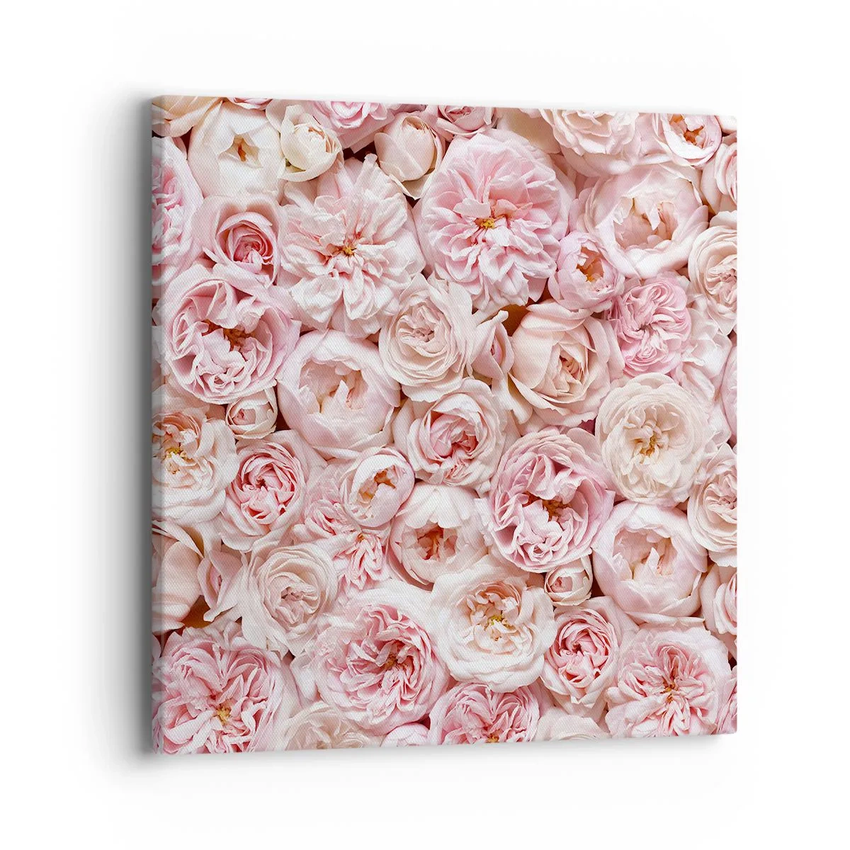 Impression sur toile - Image sur toile - Un lit de roses - 40x40 cm