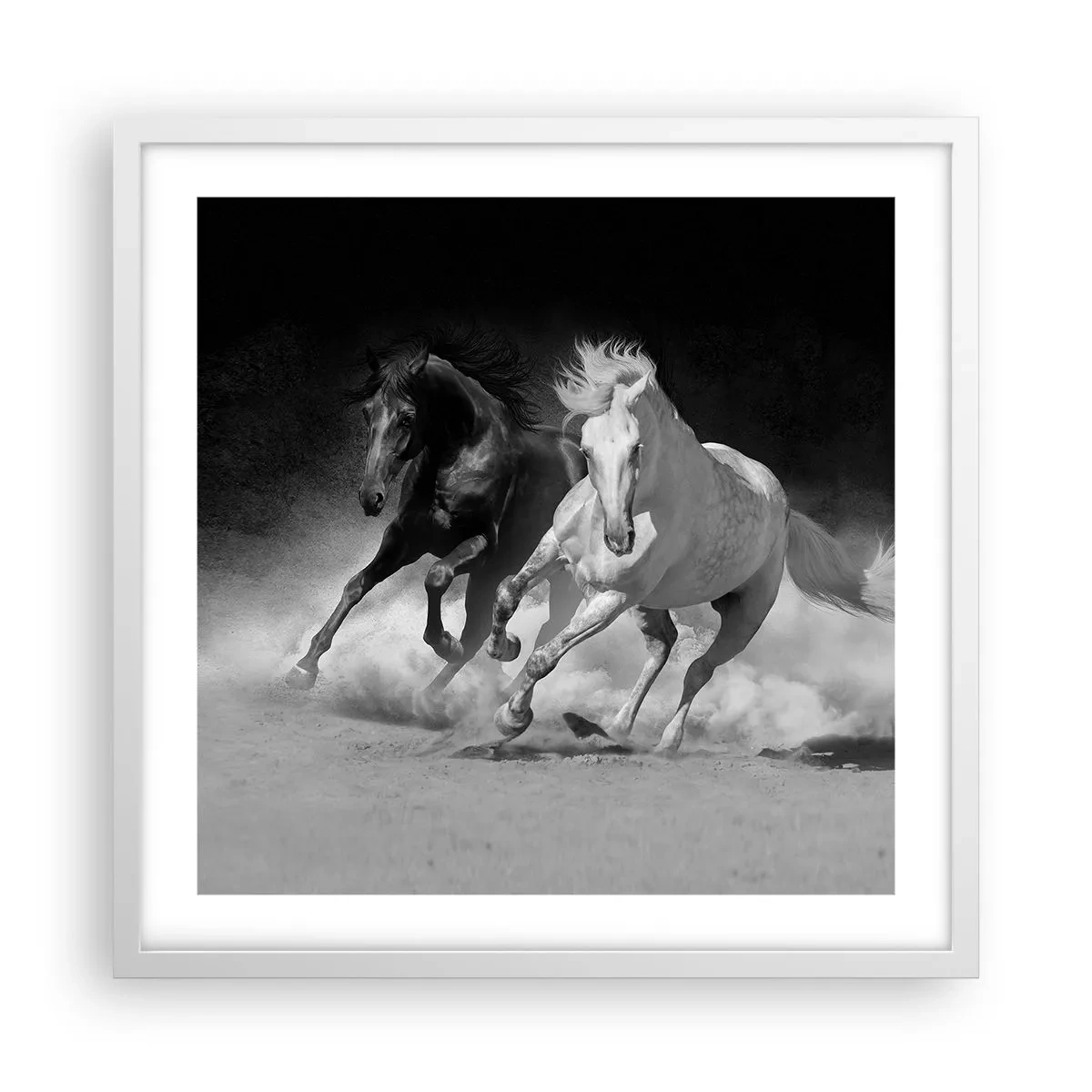 Affiche dans un cadre blanc - Poster - Galop de la liberté - 50x50 cm