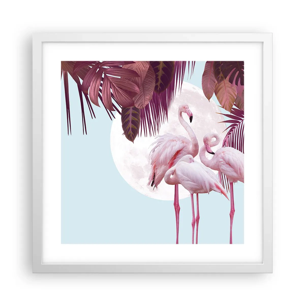 Affiche dans un cadre blanc - Poster - Trois oiseaux gracieux - 40x40 cm